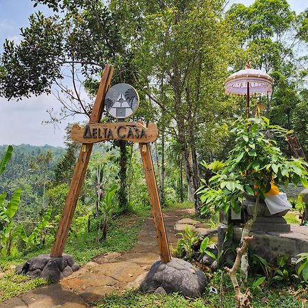 Delta Casa Ubud-Cozy Tropical Villas With Volcano View Payangan מראה חיצוני תמונה