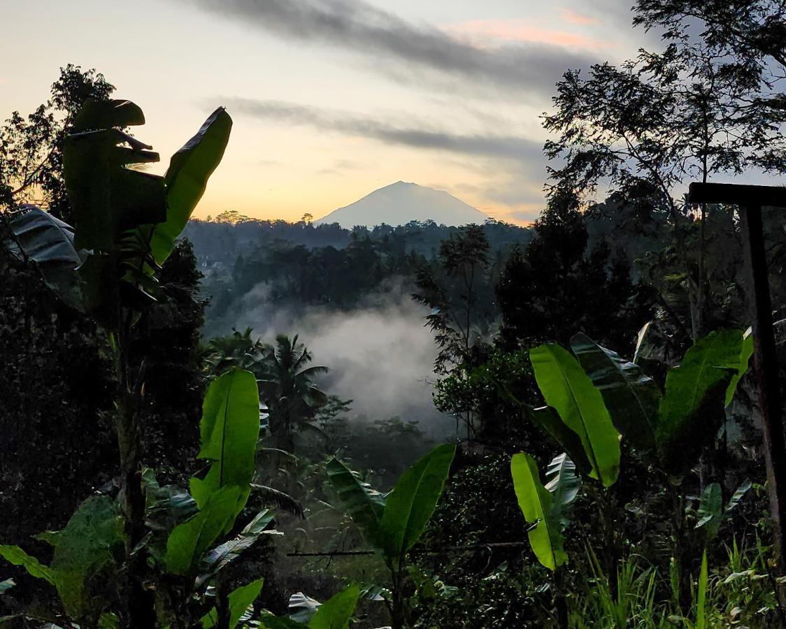 Delta Casa Ubud-Cozy Tropical Villas With Volcano View Payangan מראה חיצוני תמונה