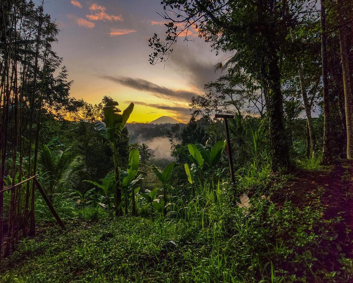 Delta Casa Ubud-Cozy Tropical Villas With Volcano View Payangan מראה חיצוני תמונה