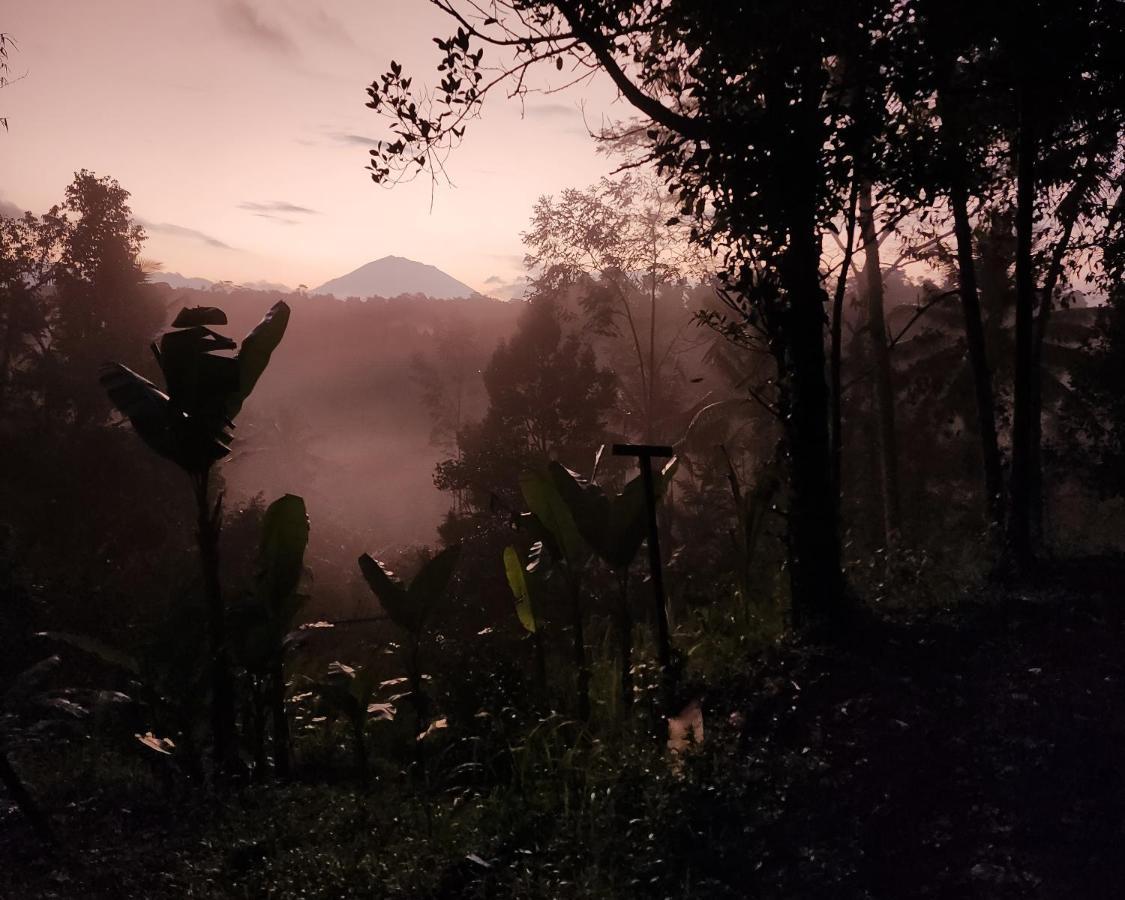 Delta Casa Ubud-Cozy Tropical Villas With Volcano View Payangan מראה חיצוני תמונה