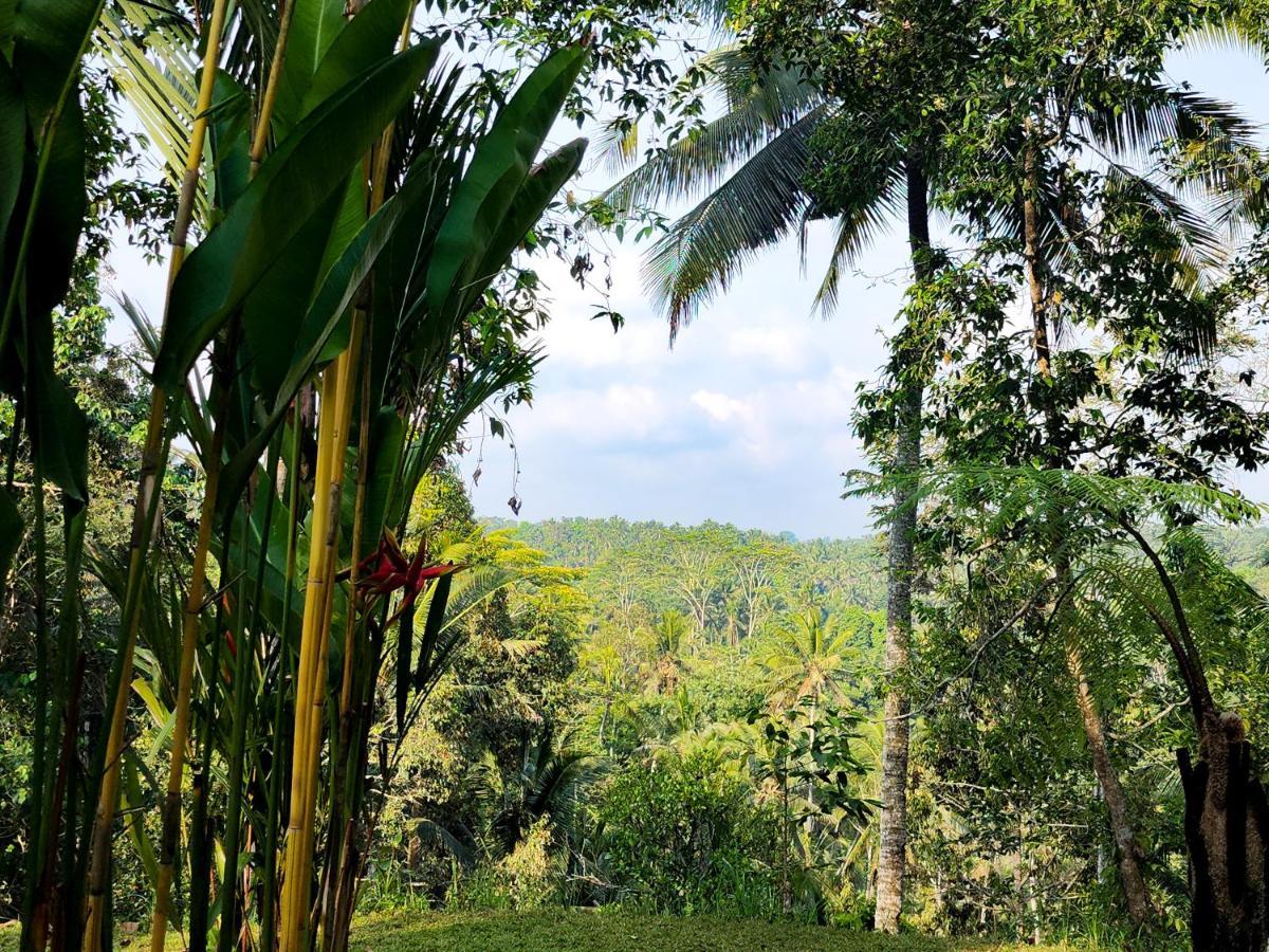 Delta Casa Ubud-Cozy Tropical Villas With Volcano View Payangan מראה חיצוני תמונה