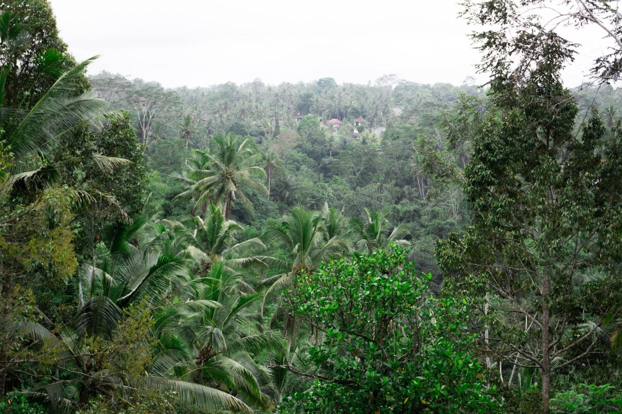 Delta Casa Ubud-Cozy Tropical Villas With Volcano View Payangan מראה חיצוני תמונה